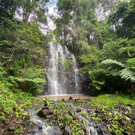 Отель Nimbin Waterfall Retreat Экстерьер фото