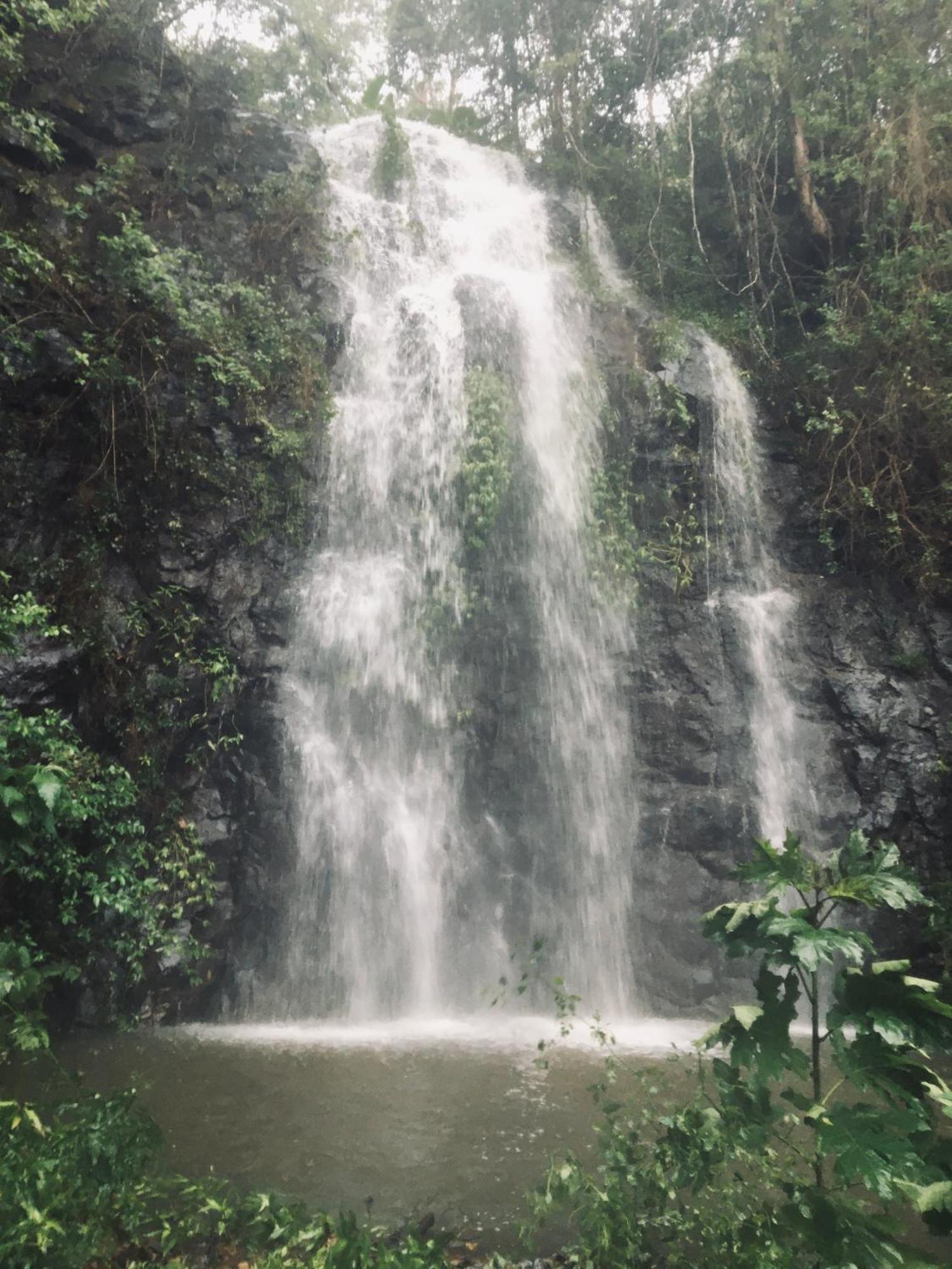 Отель Nimbin Waterfall Retreat Экстерьер фото