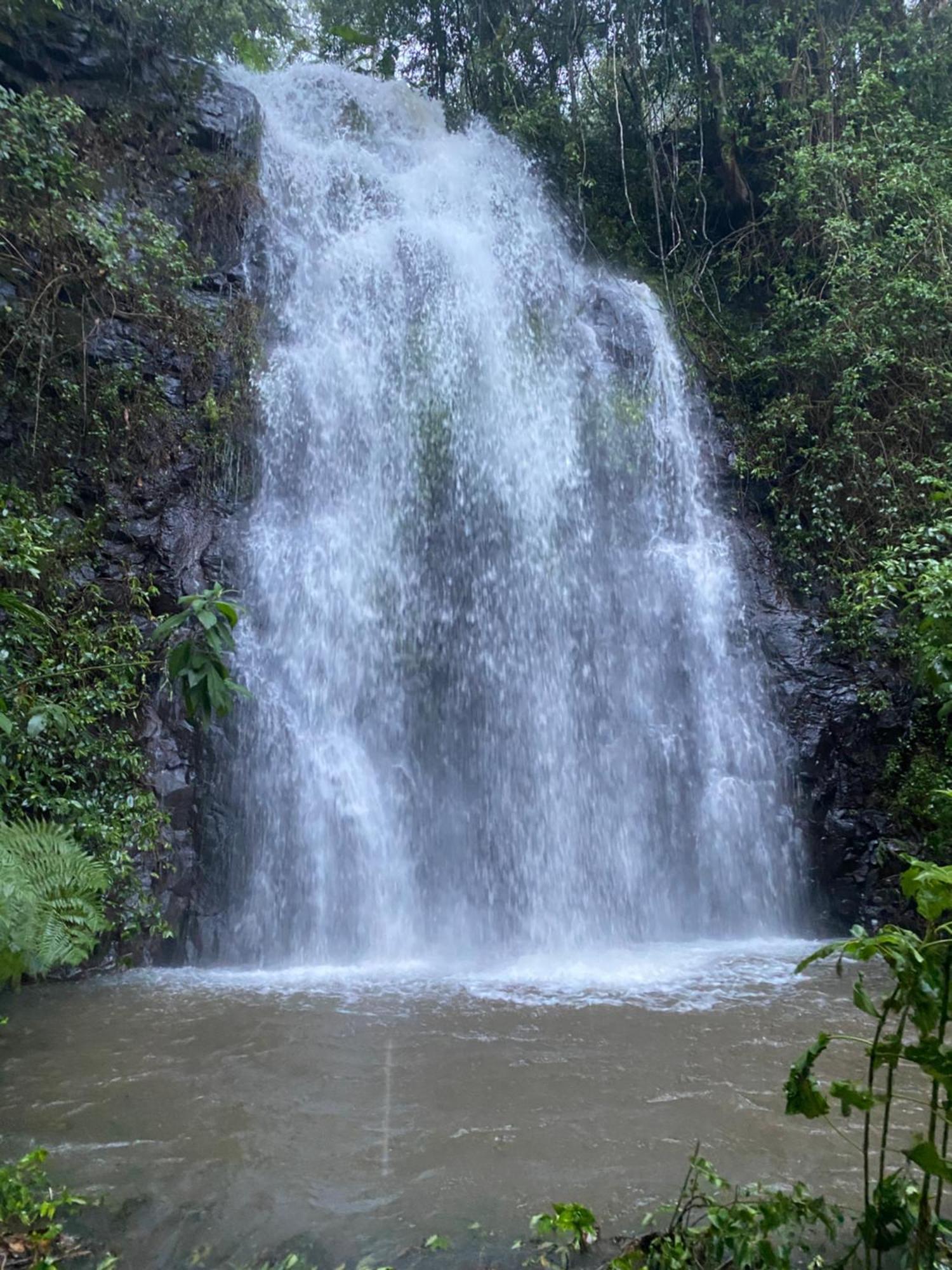 Отель Nimbin Waterfall Retreat Экстерьер фото