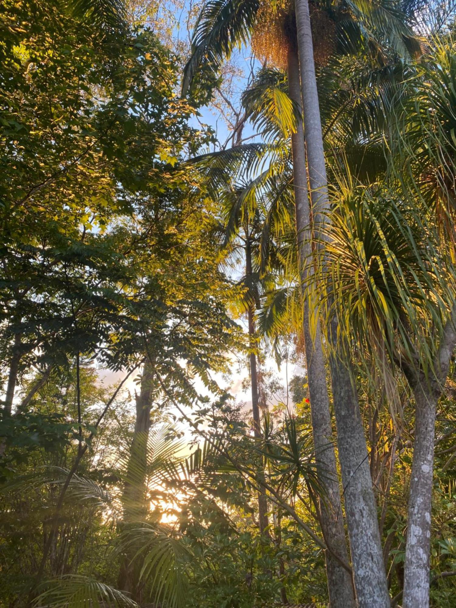 Отель Nimbin Waterfall Retreat Экстерьер фото