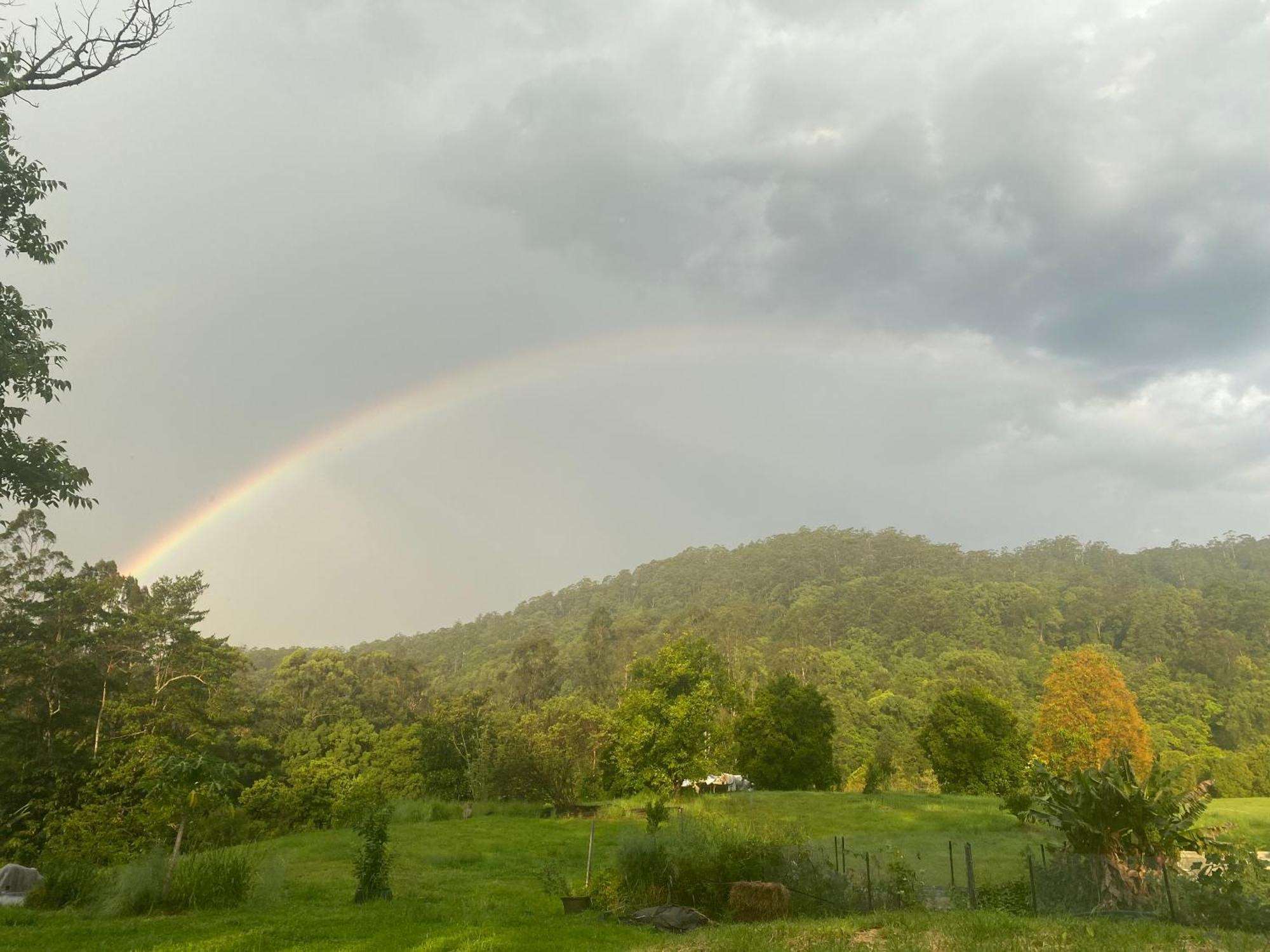 Отель Nimbin Waterfall Retreat Экстерьер фото