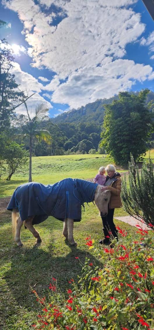 Отель Nimbin Waterfall Retreat Экстерьер фото