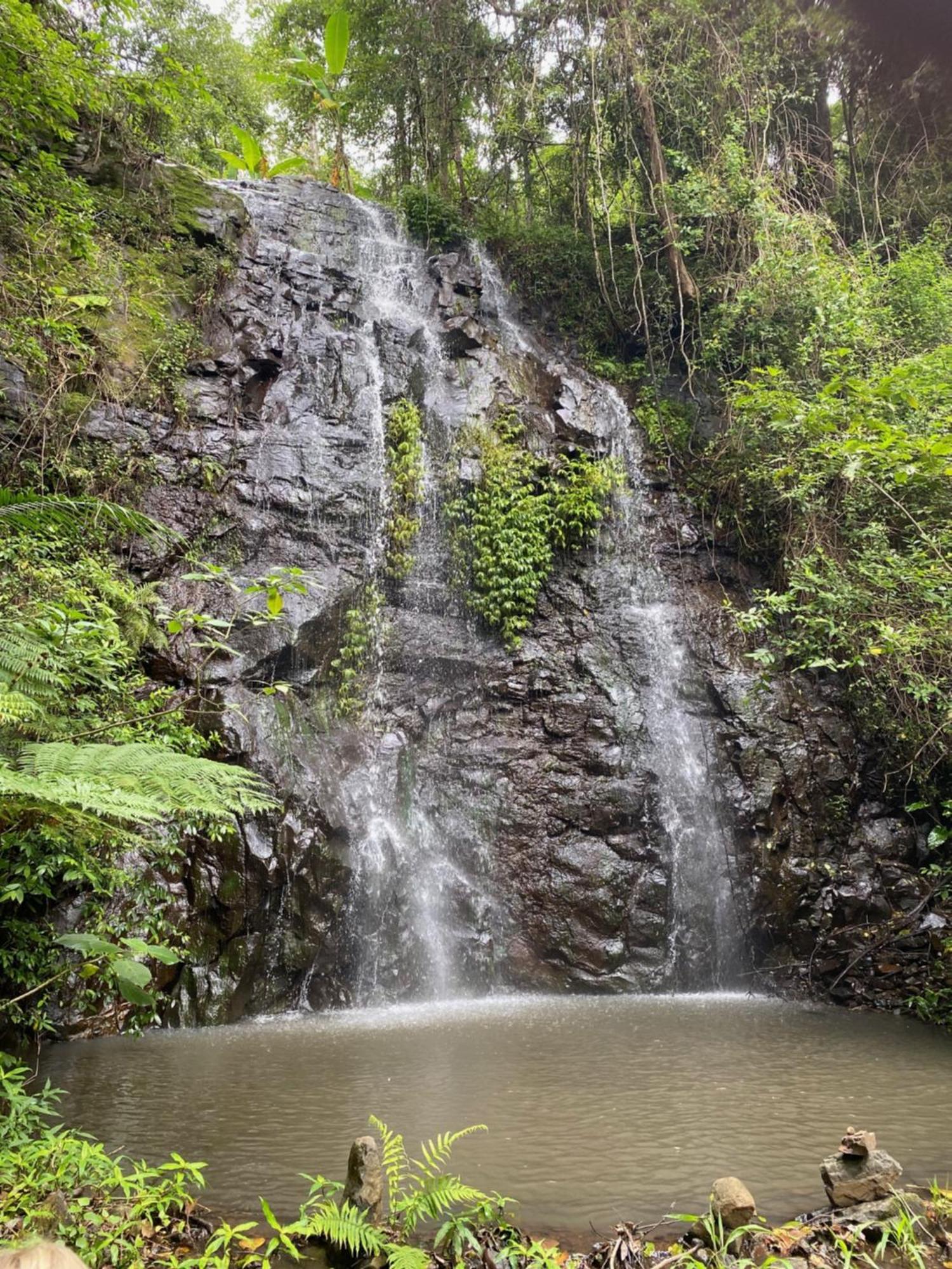 Отель Nimbin Waterfall Retreat Экстерьер фото