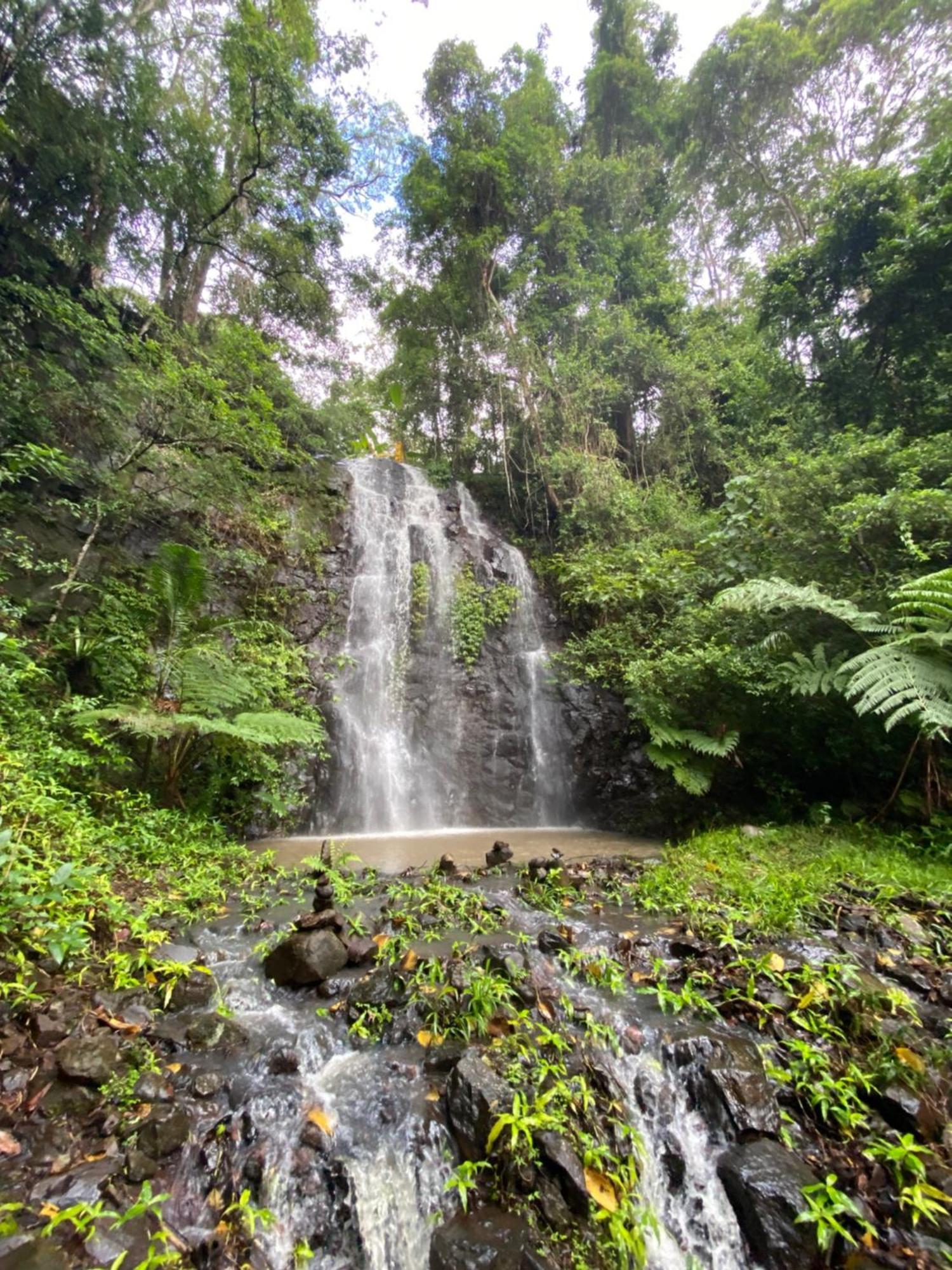 Отель Nimbin Waterfall Retreat Экстерьер фото